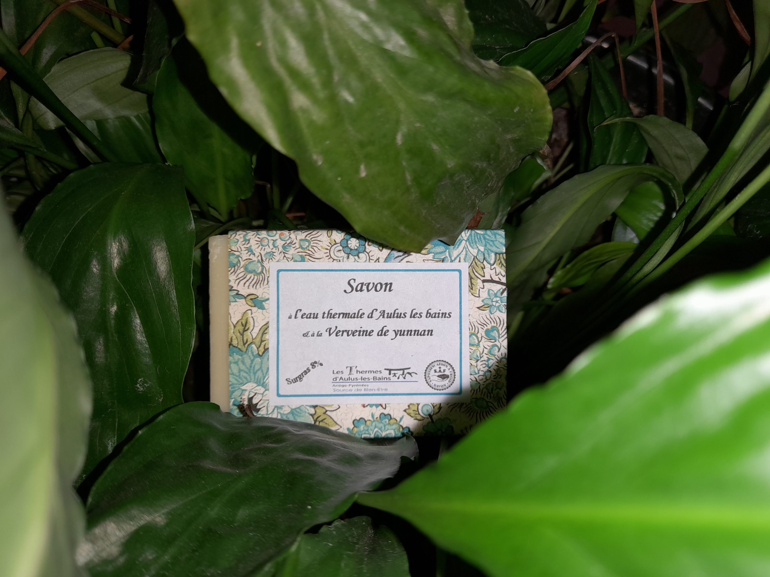 savon surgras verveine